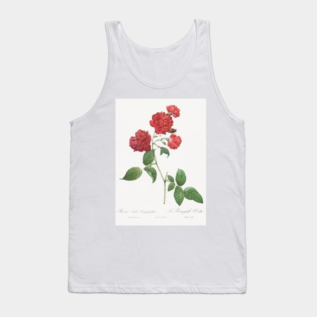 Red Cabbage Rose,  Bengal eyelet by Pierre-Joseph Redouté Tank Top by T-SHIRT-2020